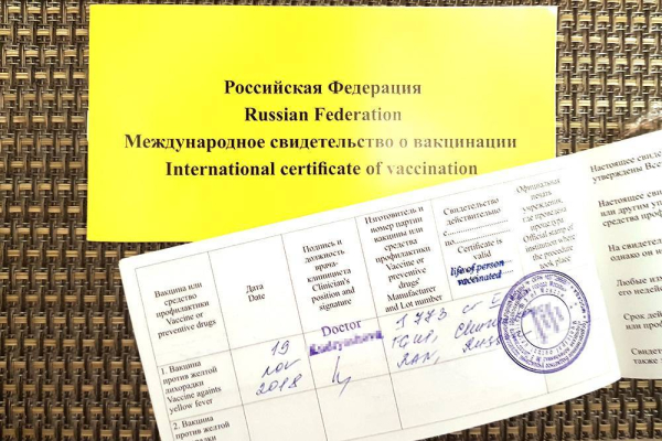 Прививка от желтой лихорадки — безопасное путешествие с детьми в любую страну Прививка от желтой лихорадки — безопасное путешествие с детьми в любую страну
