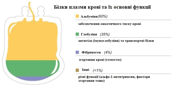 Плазма крови &mdash; состав, функции, внешний вид