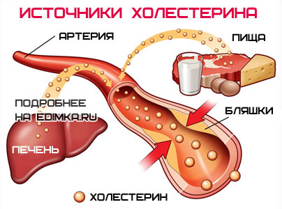 Гиполипидемическая диета — принципы и меню при повышенном холестерине Гиполипидемическая диета — принципы и меню при повышенном холестерине