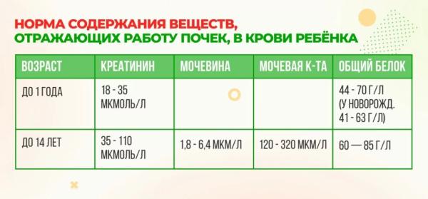 Особенности развития пиелоэктазии почек Особенности развития пиелоэктазии почек
