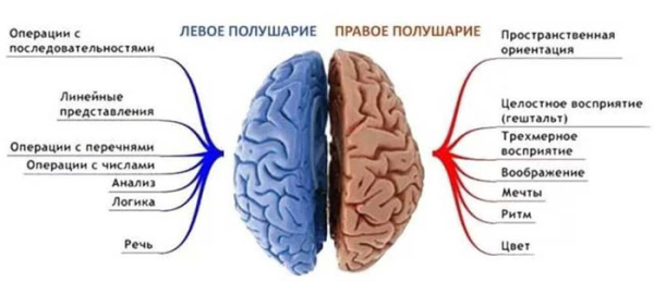 Геморрагический инсульт — симптомы, лечение, последствия Геморрагический инсульт — симптомы, лечение, последствия