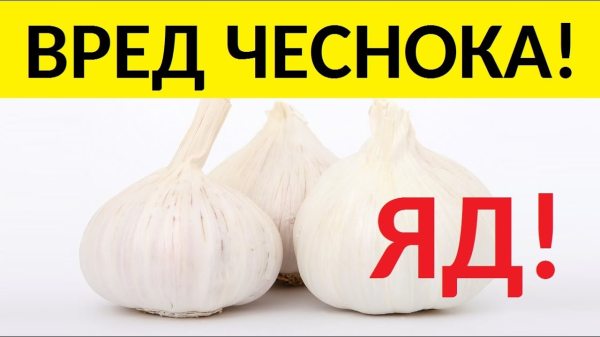 Указания при отравлении чесноком