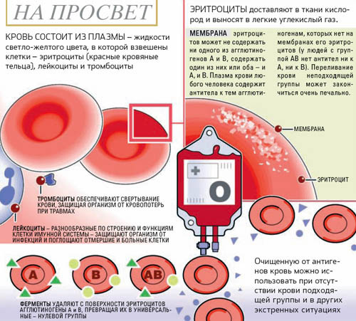 Плазма крови &mdash; состав, функции, внешний вид