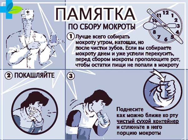 Сдаем мокроту на анализ &mdash; правила подготовки и полезная информация