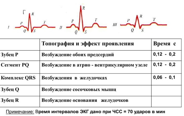 Все о тонометрии &mdash; виды, показания, проведение, интерпретация