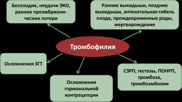 Что такое тромбофилия и в чем опасность патологии?